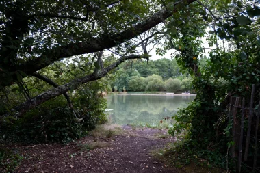 Parc Jozereau de Pessac (10).